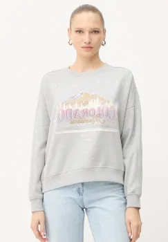 BOSS Orange hanorac de bumbac culoarea gri, cu imprimeu, 50549186 imagine