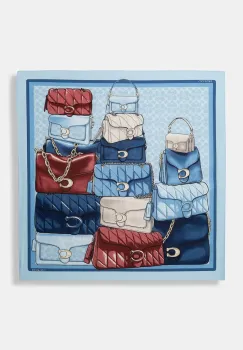 Coach esarfa de dama imagine