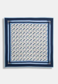 Coach esarfa de dama imagine