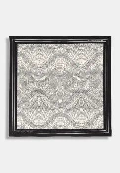 Elisabetta Franchi esarfa pentru femei, din matase imagine