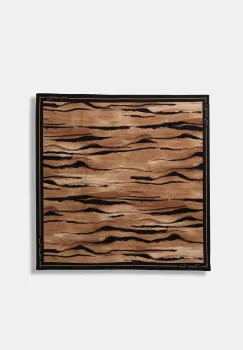 Elisabetta Franchi esarfa pentru femei, din matase imagine