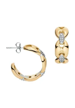 Fossil cercei imagine