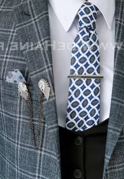 Cravata barbati B1480 imagine