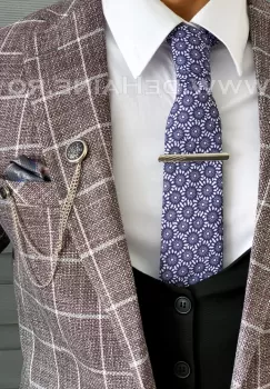 Cravata barbati B1514 imagine