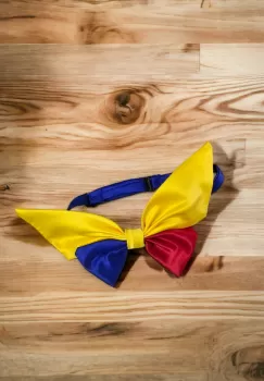 Papion Tricolor Copii imagine