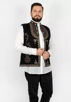 Vesta brodata Ahile imagine