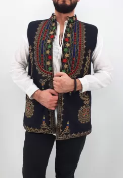 Vesta brodata Ahile imagine