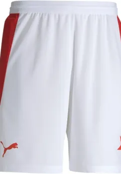 Pantaloni scurti barbati Puma Sks Home Shorts 75806601 imagine