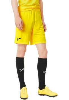 Pantaloni scurti barbati Puma Teamfinal 21 Knit Shorts 70425707 imagine