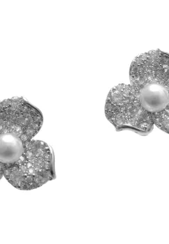 Cercei ALDO argintii, 14244909, din metal imagine