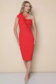 Rochie eleganta mulata pe corp de culoare rosie prevazuta cu pene imagine