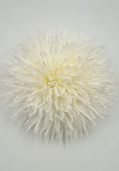 Brosa dama floare volumetrica bej alba imagine