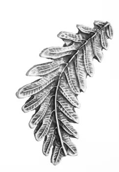 Brosa din ZAMAC sub forma de laur, simbol al succesului si pacii imagine