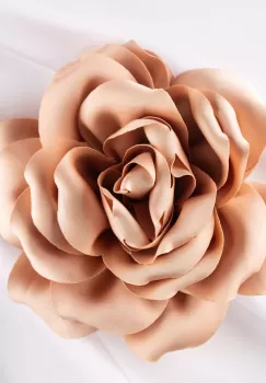 Brosa floare bej piersica satinata cu diamtetru de 15 cm, cu clips pentru par imagine