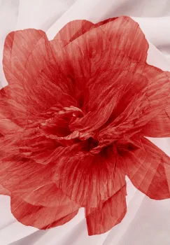 Brosa floare din organza creponata cu diamtetru de 20 cm, cu clips pentru par, rosu inchis imagine