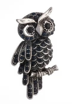 Brosa metalica argintie cu pietricele fatetate bleumarin, bufnita simbol al cunoasterii si intelepciunii imagine