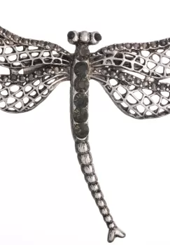 Brosa metalica argintie cu pietricele verzi olive, libelula cu coada curbata imagine