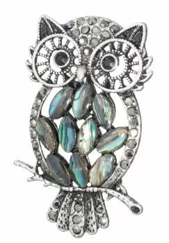 Brosa pandant argintie cu scoica naturala paua shell si pietricele argintii, bufnita imagine