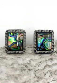 Cercei eleganti din otel inoxidabil cu paua shell multicolor imagine