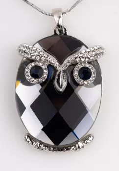 Lant metalic cu pandantiv bufnita cu fata din sticla neagra imagine
