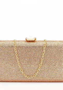 Geanta clutch cu pietricele BJH-715 06 Sampanie imagine