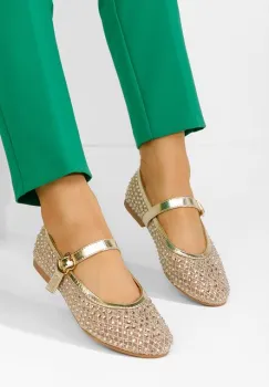 Balerini eleganti Anelise aurii imagine