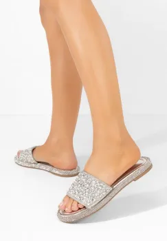Papuci fara toc Karleenys argintii imagine