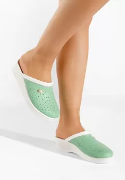 Saboti medicinali Milanca V3 verzi imagine